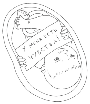 Откуда берутся дети